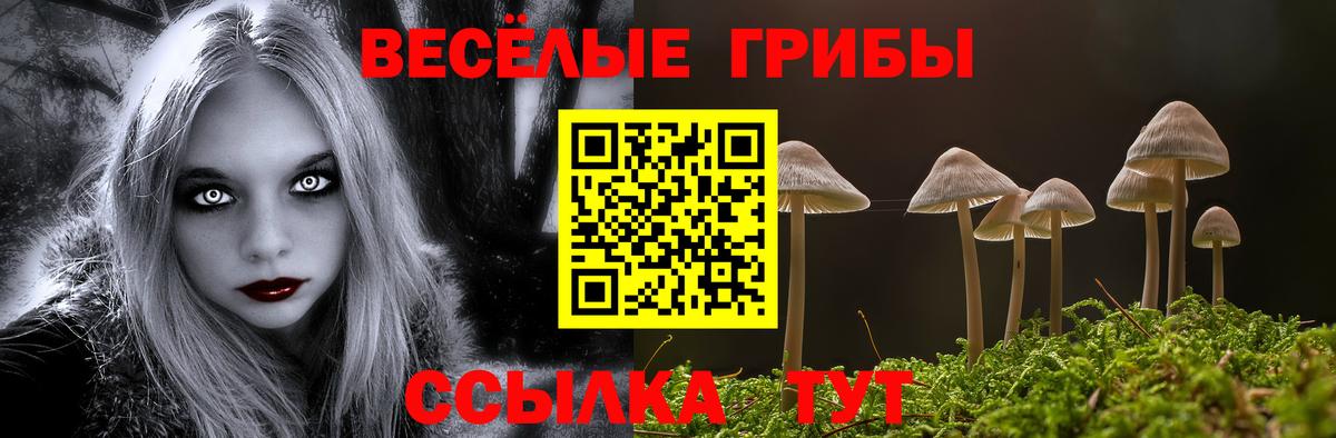 Гусь-Хрустальный  Псилоцибиновые грибы мицелий  купить   Вход с VPN 