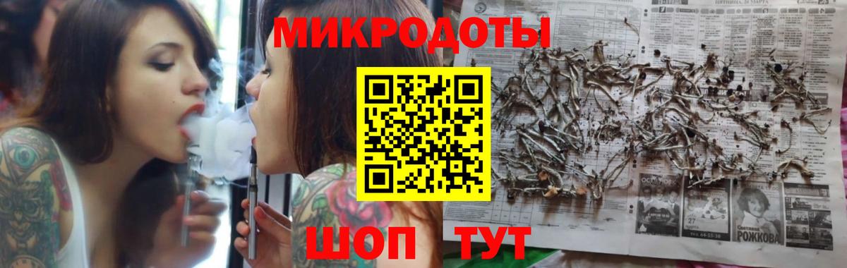 Псилоцибиновые грибы Psilocybe Гусь-Хрустальный